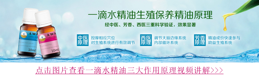 三大原理图片.png